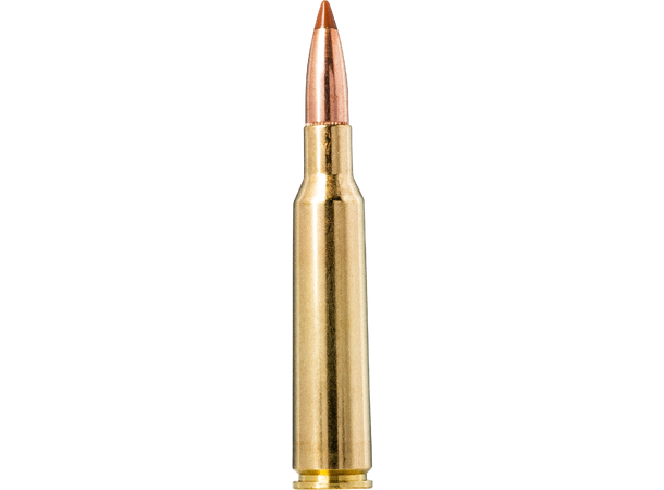 Norma Nosler BST 6,5X55 120gr / 7,8g Norma Hylse m/ Nosler Ballistic Tip Kule 