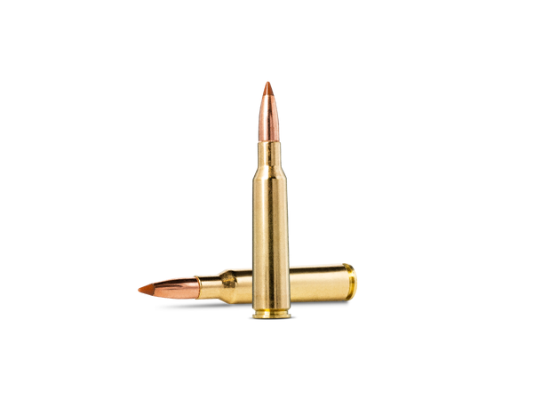 Norma Nosler BST 6,5X55 120gr / 7,8g Norma Hylse m/ Nosler Ballistic Tip Kule 