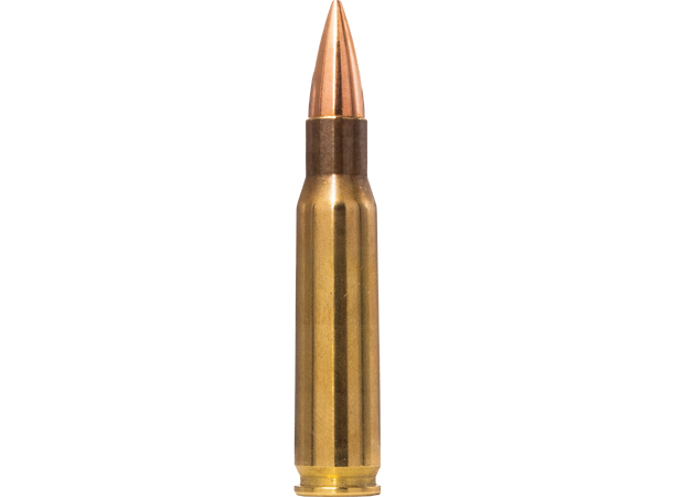 Norma Range & Training 308 Win 9,7g Norma Trainer 308 Win 9,7g / 150grs 
