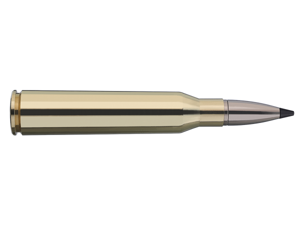 RWS Speed Tip Pro 338 LAPMAG 16,2 g/250 Veldig effektiv, selv på lengre avstand 