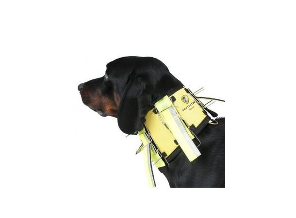 Dogtech Pro Neck 2020 Beskyttelseshalsbånd, Gul med Refleks 