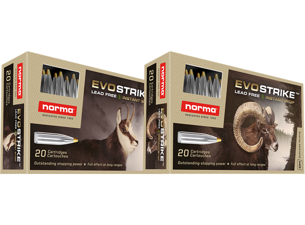 Norma EvoStrike™ 300 Win Mag 9,0g/139gr Blyfri kule for knall og fall effekt 