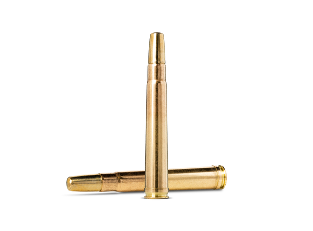 Norma Solid 375 H&H Mag 300gr / 19,4g 