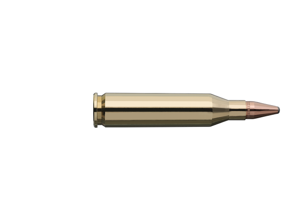 RWS Cone Point 243 WIN 6,2g/95gr Blykule med mekanisk blylås 
