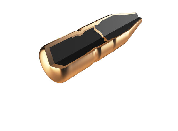RWS Twin Core 300 WIN MAG 10,7g/165 gr Dobbelkjernet blykule 