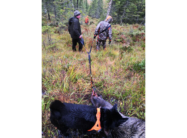 NeverLost jaktpakke Gamebag, slaktesett, viltdrag, førstehje