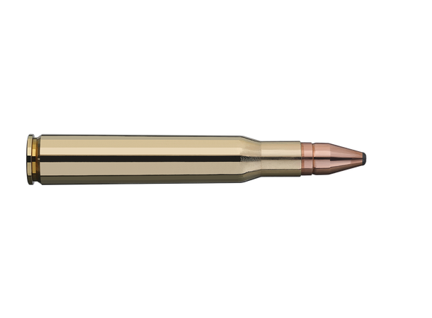 RWS Twin Core 30-06 10,7g/165 gr Dobbelkjernet blykule 