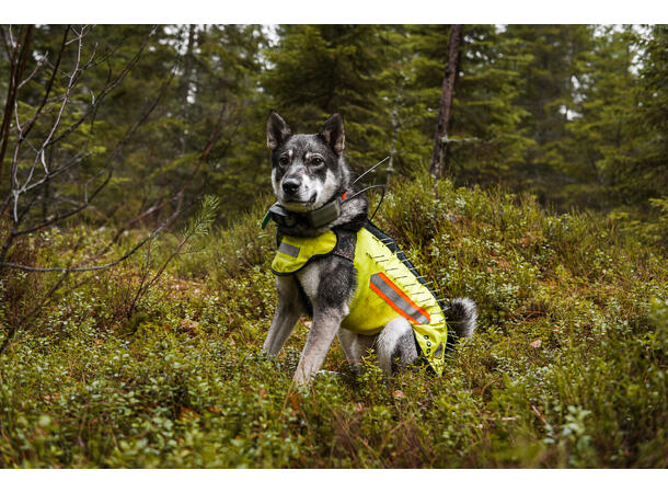 Dogtech ONE Hundevest X-Large 700-800mm Beskyttelsesvest mot Ulv 