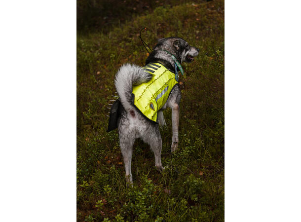 Dogtech ONE Hundevest X-Large 700-800mm Beskyttelsesvest mot Ulv 