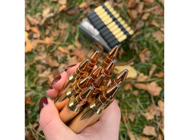 RWS Twin Core 308 WIN 10,7g/165 gr Dobbelkjernet blykule 
