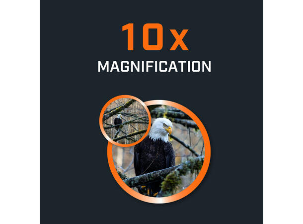 Bushnell H2O Dark Blue 10x25 Kompakt, vanntett håndkikkert 