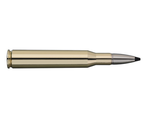 RWS Speed Tip Pro 270 WIN 9,1g/140gr Veldig effektiv, selv på lengre avstand 