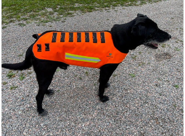 Dogtech Wolf Hundevest Beskyttelsesvest mot ulv og rovdyr 