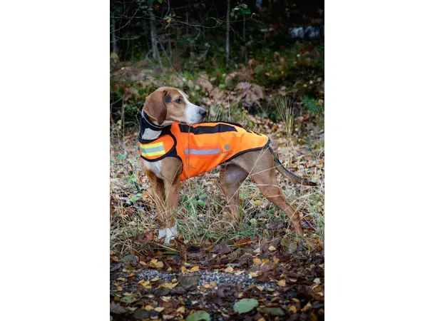 Dogtech Wolf Mesh Hundevest Ventilert beskyttelsesvest mot rovdyr 