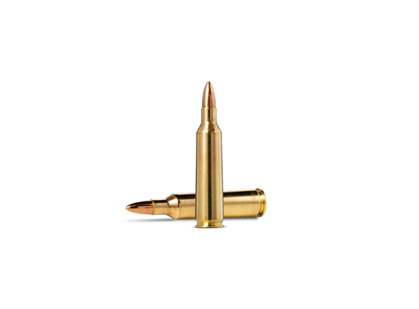 Norma Jaktmatch 22-250 Rem 55gr / 3,6g Helmantel trening og jaktammunisjon 