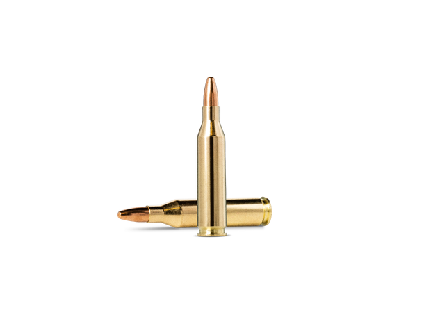 Norma Jaktmatch 243 Win 95gr / 6,2g Helmantel trening og jaktammunisjon 