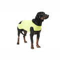 Dogtech Retriver Yellow Small Beskyttelsesvest mot kalde/våte dager