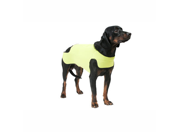 Dogtech Retriver Yellow Small Beskyttelsesvest mot kalde/våte dager 