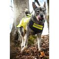 Dogtech Pro Vest X-Large Beskyttelsesvest mot Villsvin og Ulv