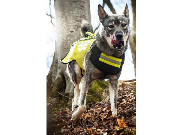 Dogtech Pro Vest X-Large Beskyttelsesvest mot Villsvin og Ulv 