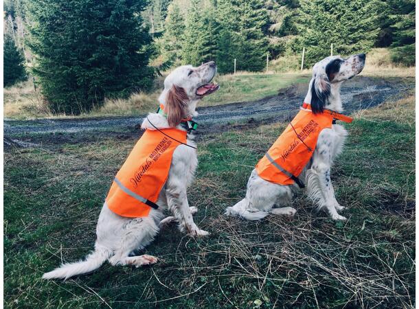 Nitedals Markeringsdekken oransje Nitedals hundedekken i oransje